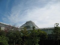 Botanical Garden Munich